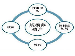 瑞普行業(yè)動態(tài)與企業(yè)管理趨勢分析